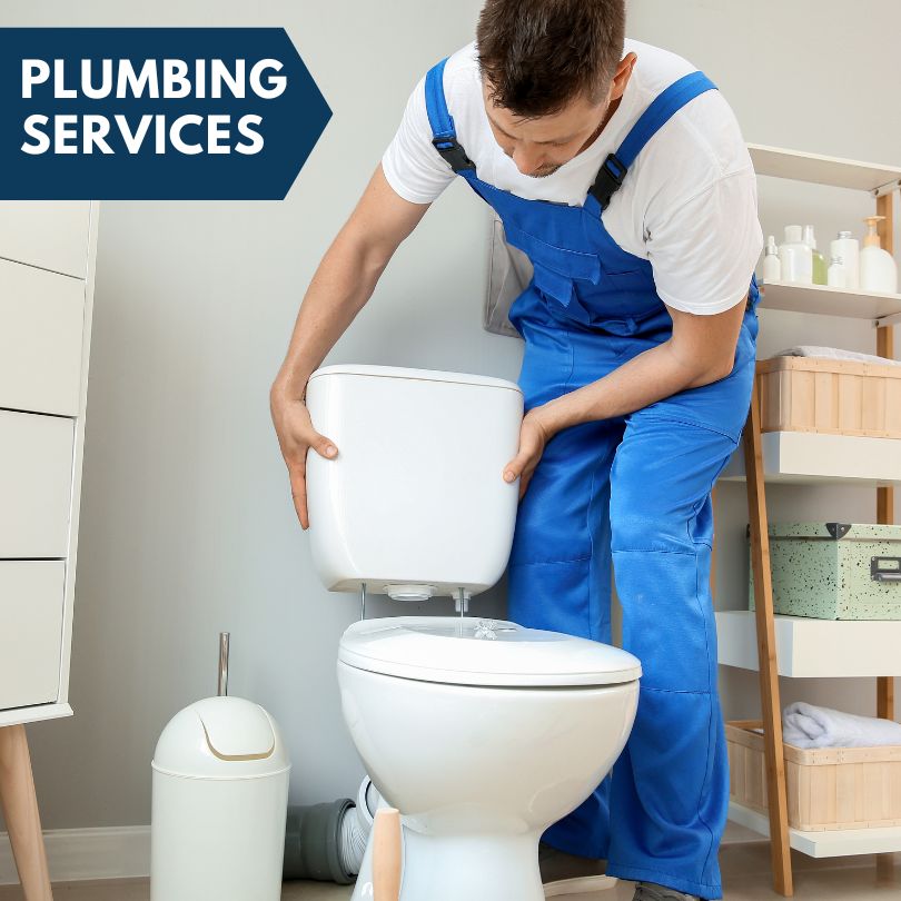 Plumbing Company in Fort Ogden, FL